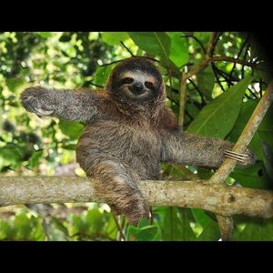 Meet your Posher, Jenna